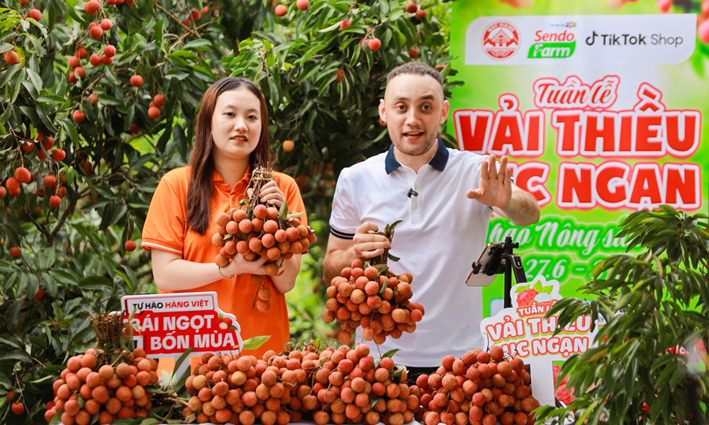 Chuyện những người n&ocirc;ng d&acirc;n 4.0: Khi 