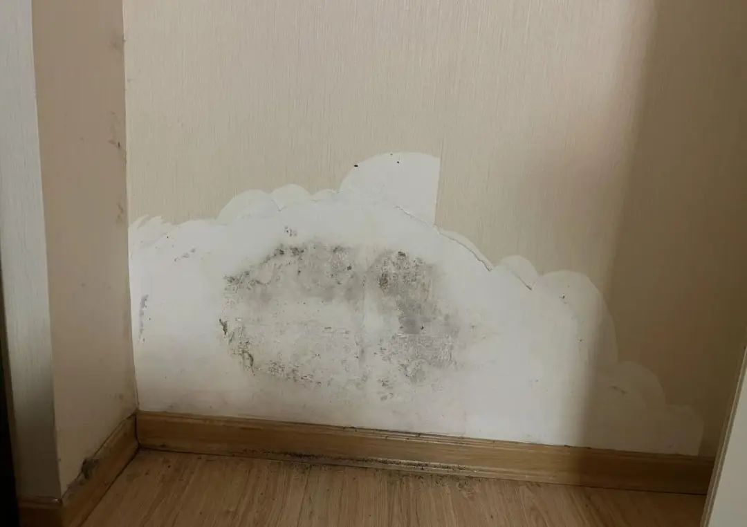 T&ocirc;i muốn mua căn hướng T&acirc;y, bố mẹ nhất quyết chọn hướng Đ&ocirc;ng: Nhưng v&igrave; 1 c&acirc;u n&oacute;i đ&atilde; khiến cả nh&agrave; t&ocirc;i đổi &yacute;- Ảnh 3.