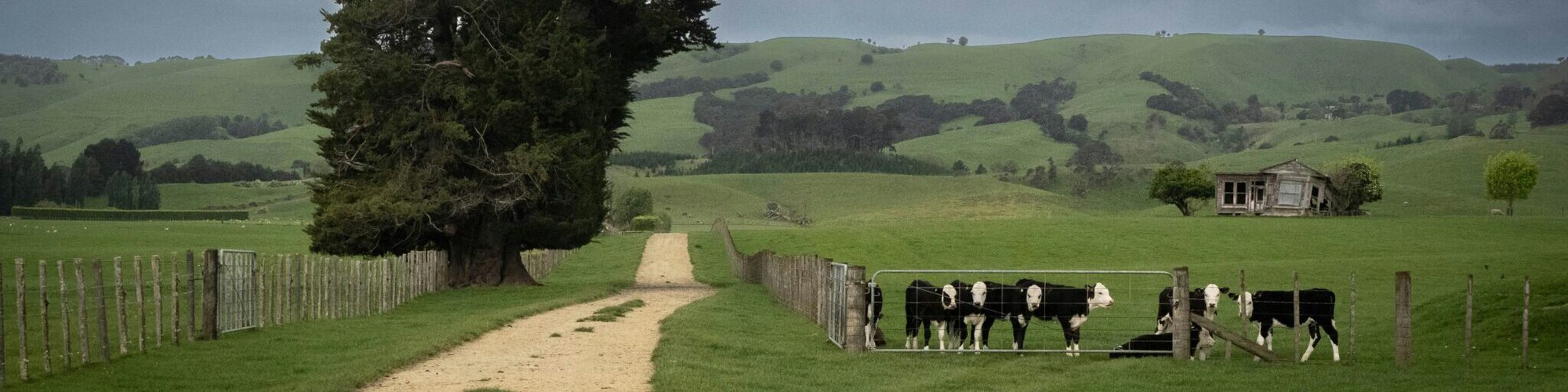 Những c&acirc;u chuyện khoa học nổi bật nhất năm 2025: Từ tham vọng hồi sinh qu&aacute;i th&uacute; đến những 