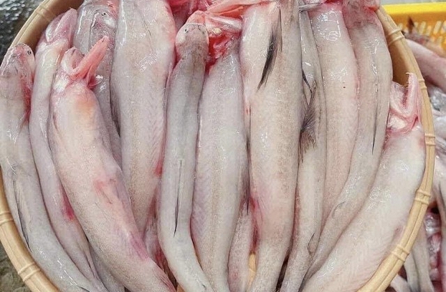 Loại c&aacute; thịt mềm như ch&aacute;o, gặp nước l&agrave; tan, người s&agrave;nh ăn nh&igrave;n thấy th&igrave; mua vội