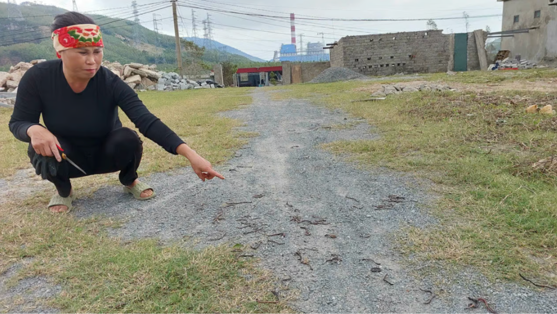 Lý giải hiện tượng kỳ lạ vừa xuất hiện ở Quảng Trị khiến người dân xôn xao- Ảnh 2. Lý giải hiện tượng kỳ lạ vừa xuất hiện ở Quảng Trị khiến người dân xôn xao- Ảnh 2.