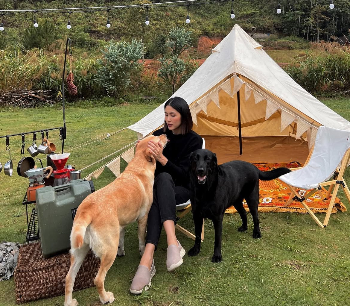 T&igrave;nh h&igrave;nh hiện tại của Tăng Thanh H&agrave;- Ảnh 2.