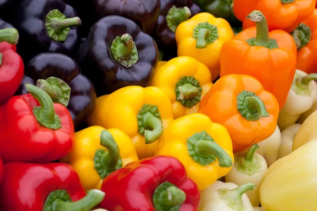 Kh&ocirc;ng cần tốn nhiều tiền đầu tư m&agrave; t&oacute;c vẫn mọc nhanh v&agrave; chắc khỏe, biết c&aacute;ch đơn giản n&agrave;y chắc chắn chị em n&agrave;o cũng l&agrave;m ngay- Ảnh 10.