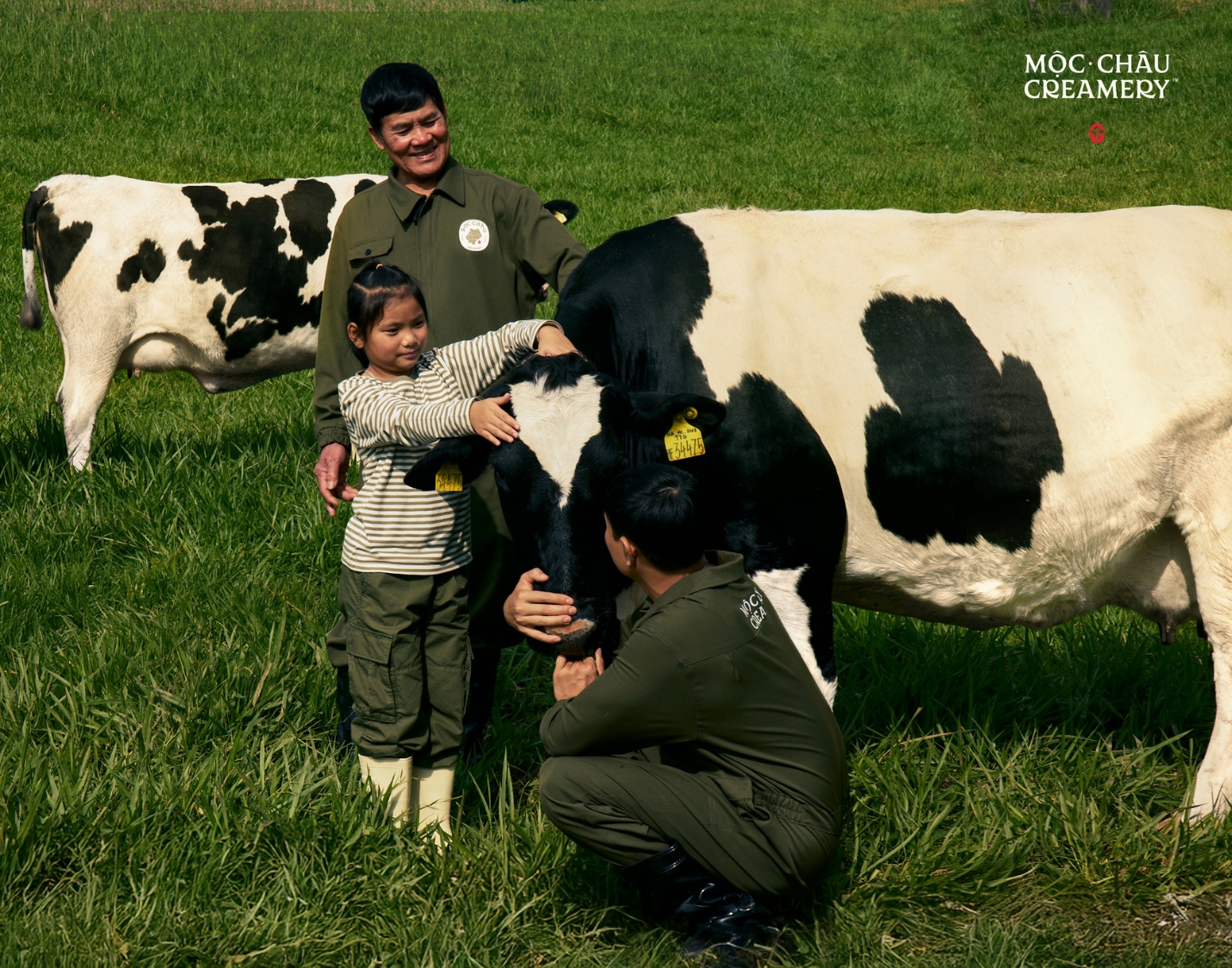 Ch&iacute;nh thức ra mắt thương hiệu cao cấp Mộc Ch&acirc;u Creamery- Ảnh 4.