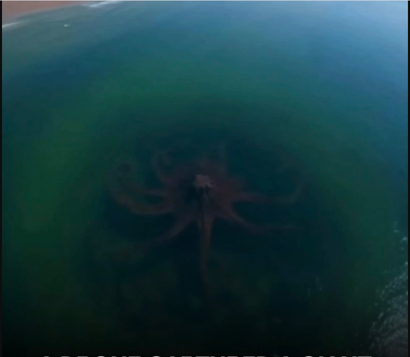 Bất ngờ ph&aacute;t hiện 