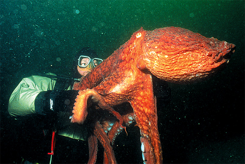 Bất ngờ ph&aacute;t hiện 