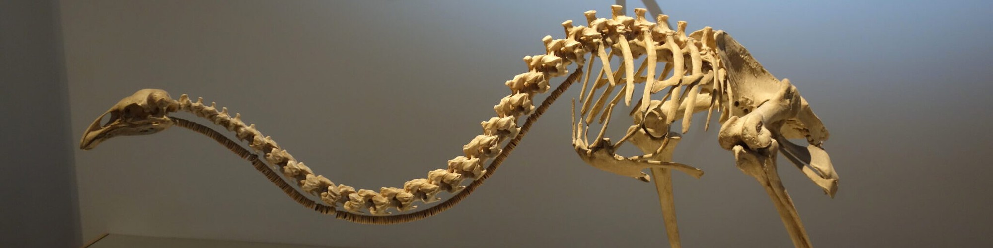 Những c&acirc;u chuyện khoa học nổi bật nhất năm 2025: Từ tham vọng hồi sinh qu&aacute;i th&uacute; đến những 