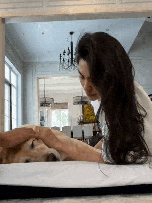 T&igrave;nh h&igrave;nh hiện tại của Tăng Thanh H&agrave;- Ảnh 1.