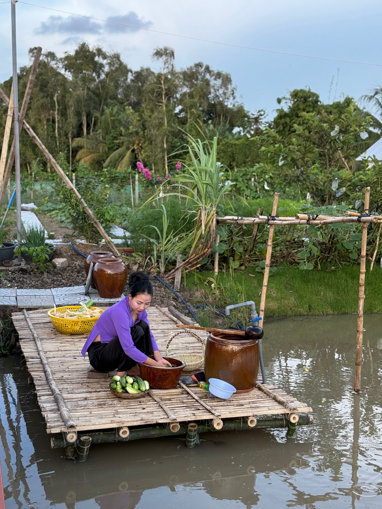 Bỏ phố về qu&ecirc;, vợ chồng miền T&acirc;y biến mảnh đất 3.000m2 kh&ocirc; cằn th&agrave;nh khu vườn được quy hoạch thẳng tắp như 