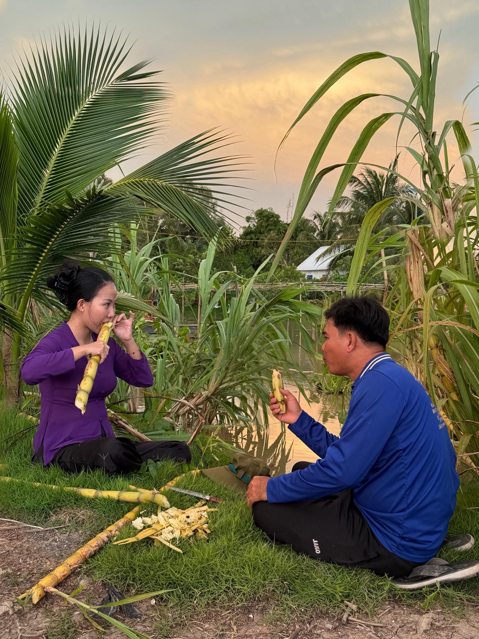 Bỏ phố về qu&ecirc;, vợ chồng miền T&acirc;y biến mảnh đất 3.000m2 kh&ocirc; cằn th&agrave;nh khu vườn được quy hoạch thẳng tắp như 