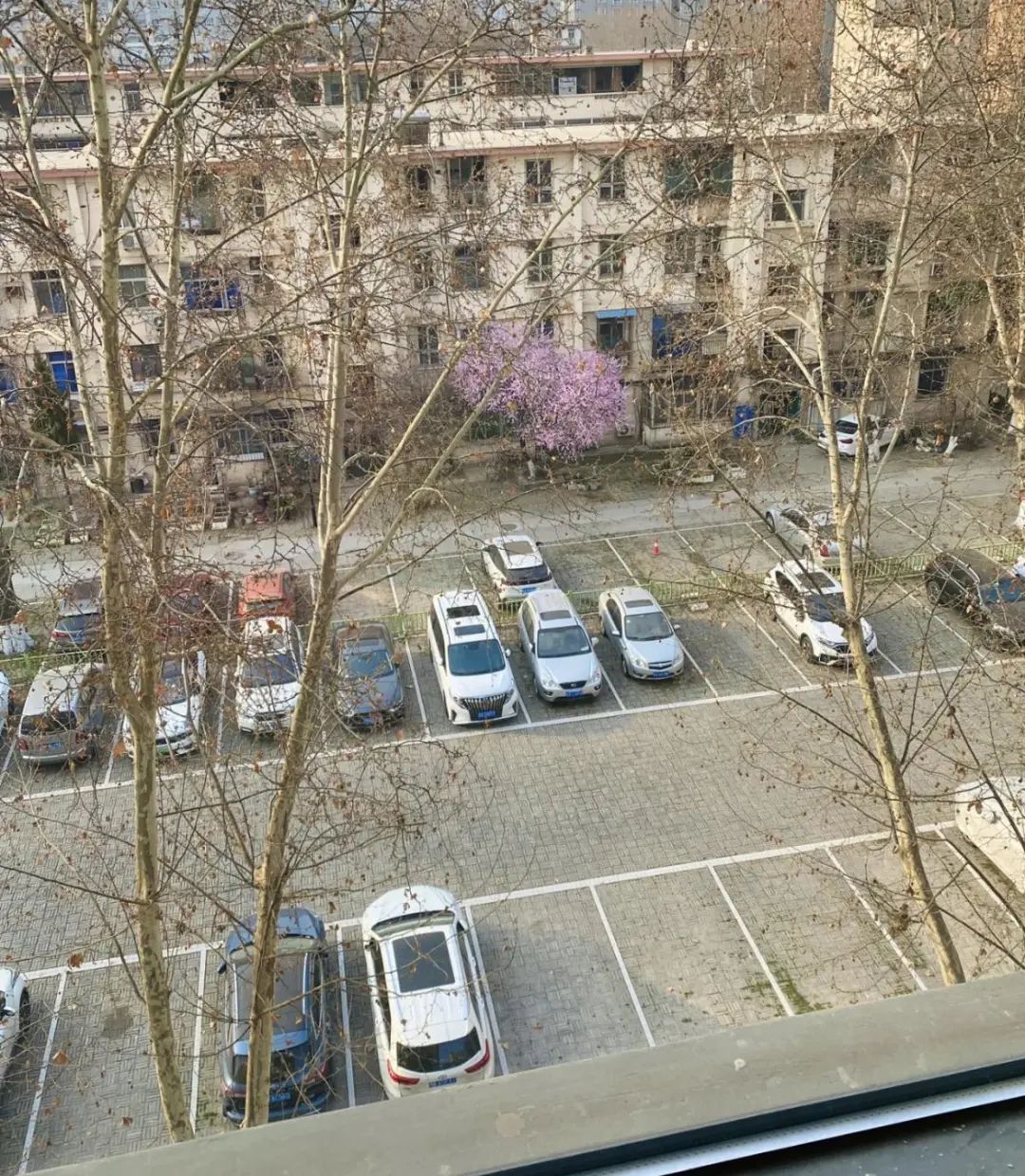 Chuyển từ căn hộ 90m2 sang 180m2, sống 8 năm rồi quay về - t&ocirc;i nhận ra nh&agrave; rộng kh&ocirc;ng khiến cuộc sống tốt hơn- Ảnh 3.