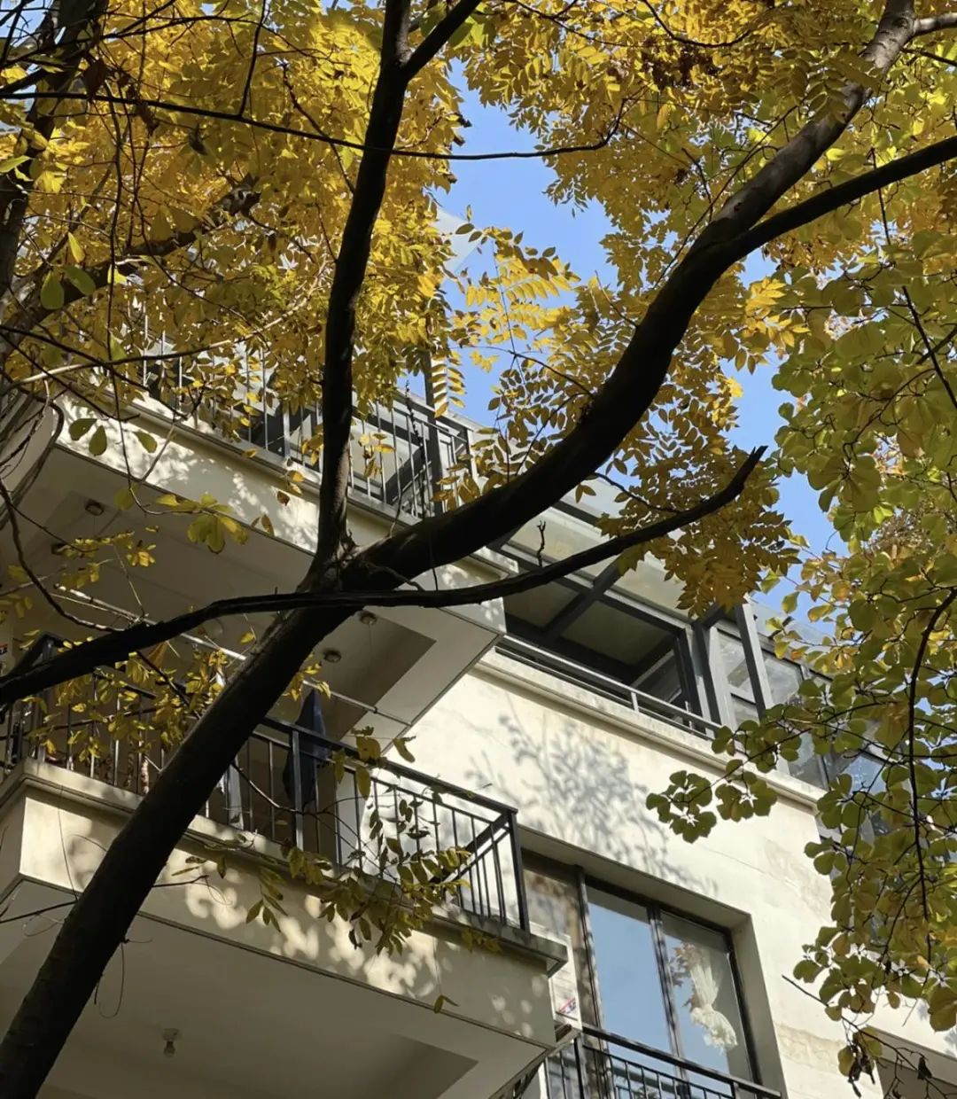 Chuyển từ căn hộ 90m2 sang 180m2, sống 8 năm rồi quay về - t&ocirc;i nhận ra nh&agrave; rộng kh&ocirc;ng khiến cuộc sống tốt hơn- Ảnh 6.