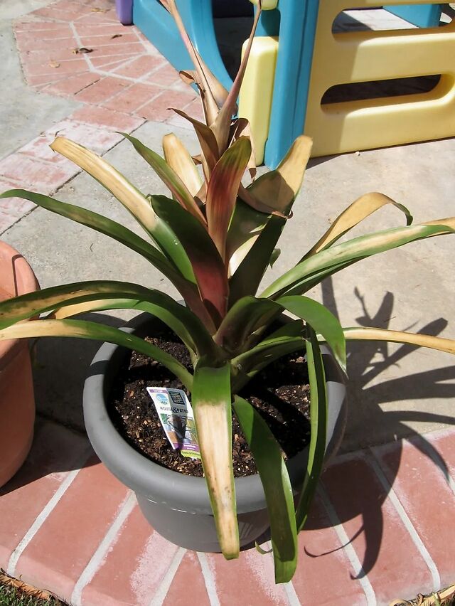 Ph&ograve;ng kh&aacute;ch c&agrave;ng phạm 5 thứ n&agrave;y, t&agrave;i vận gia đ&igrave;nh c&agrave;ng xuống - dọn lại sớm để con ch&aacute;u thịnh vượng l&acirc;u d&agrave;i- Ảnh 4.