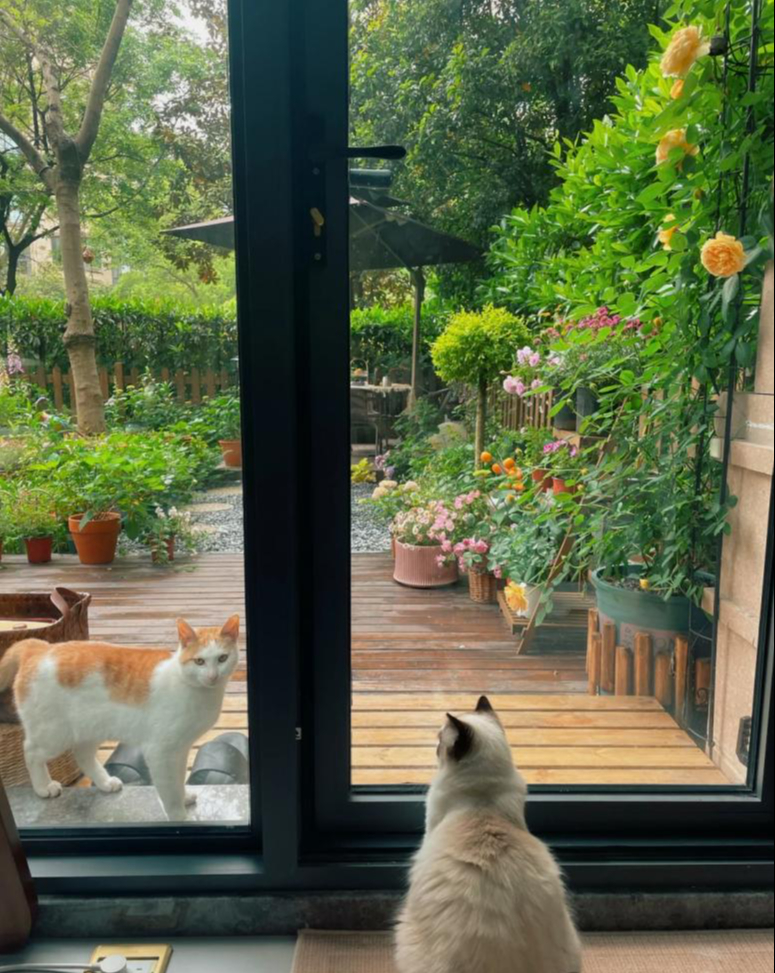 Kh&ocirc;ng thể mua nh&agrave; vườn, t&ocirc;i chọn tầng 1 c&oacute; s&acirc;n, 3 năm sau vỡ mộng ho&agrave;n to&agrave;n v&igrave; c&aacute;i gi&aacute; phải trả qu&aacute; lớn- Ảnh 2.