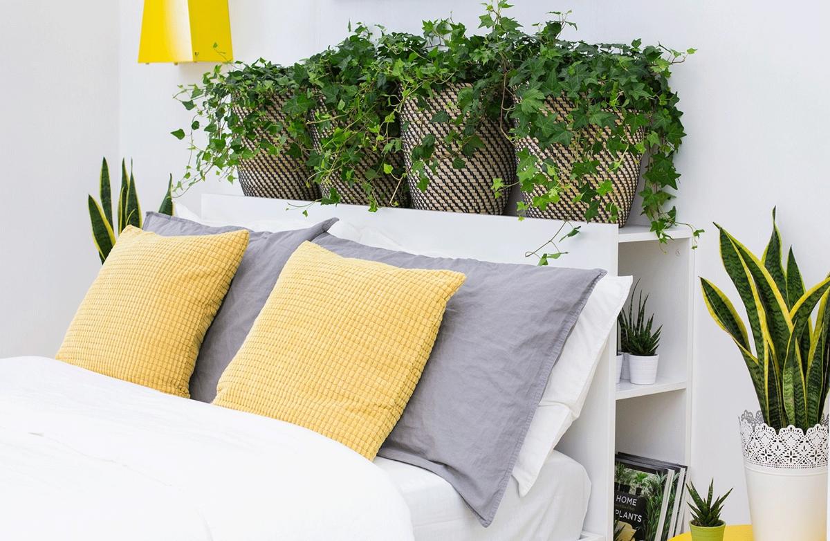 Người xưa dạy: Ph&ograve;ng ngủ chật đến đ&acirc;u cũng đừng dại đặt 6 thứ n&agrave;y ở đầu giường, giật m&igrave;nh v&igrave; to&agrave;n m&oacute;n quen- Ảnh 2.