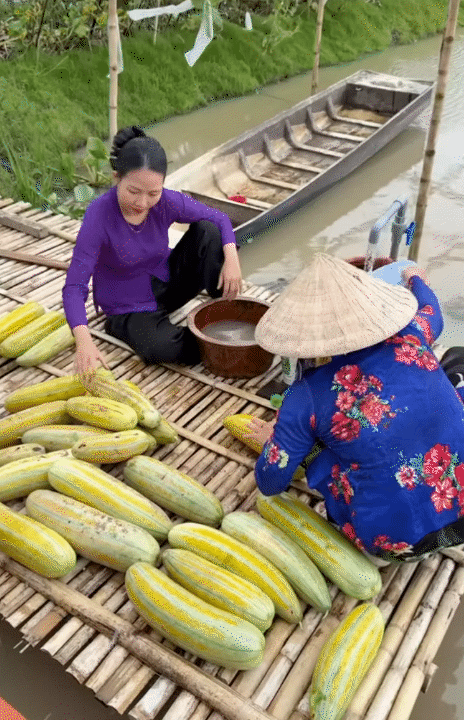 Bỏ phố về qu&ecirc;, vợ chồng miền T&acirc;y biến mảnh đất 3.000m2 kh&ocirc; cằn th&agrave;nh khu vườn được quy hoạch thẳng tắp như 