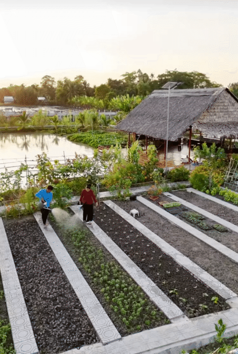 Bỏ phố về qu&ecirc;, vợ chồng miền T&acirc;y biến mảnh đất 3.000m2 kh&ocirc; cằn th&agrave;nh khu vườn được quy hoạch thẳng tắp như 