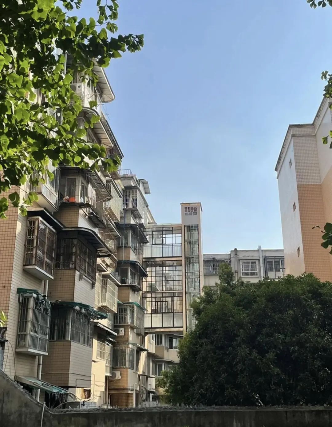 Chuyển từ căn hộ 90m2 sang 180m2, sống 8 năm rồi quay về - t&ocirc;i nhận ra nh&agrave; rộng kh&ocirc;ng khiến cuộc sống tốt hơn- Ảnh 4.