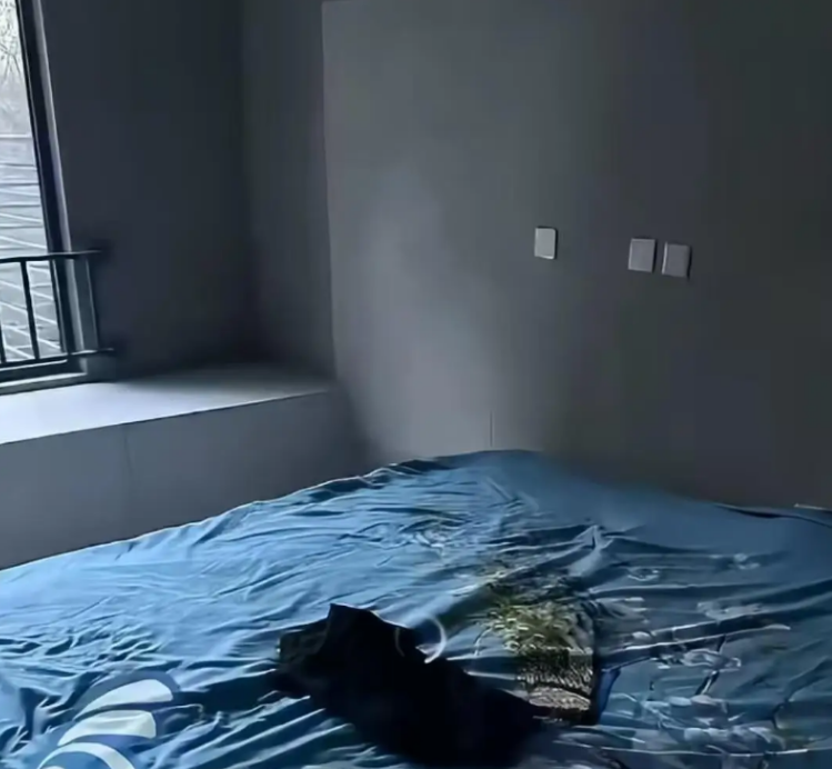 Người phụ nữ mua căn hộ 5,6 tỷ đồng, ng&agrave;y b&agrave;n giao ph&aacute;t hiện nh&agrave; đang bị người lạ chiếm dụng, chủ đầu tư tuy&ecirc;n bố: &ldquo;Đ&oacute; l&agrave; chuyện rất b&igrave;nh thường&rdquo;- Ảnh 1.