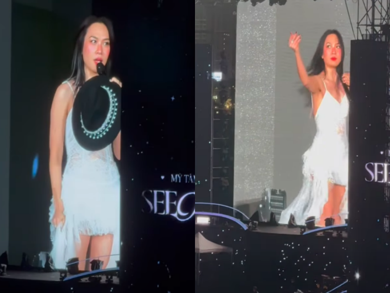 Mỹ T&acirc;m l&ecirc;n tiếng vụ chiếc &aacute;o bị x&eacute; th&agrave;nh 8 mảnh- Ảnh 1.