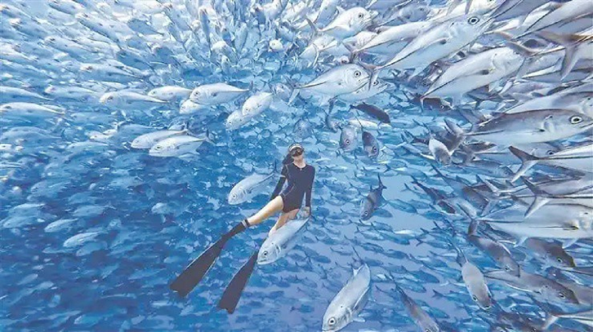 Nghề "hot": Đi l&agrave;m như đi chơi kiếm hơn nửa tỷ đồng- Ảnh 2.