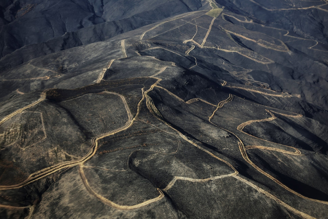 Ch&aacute;y rừng, lũ lụt, động đất tr&ecirc;n khắp thế giới: Thi&ecirc;n tai phủ b&oacute;ng năm 2025- Ảnh 8.