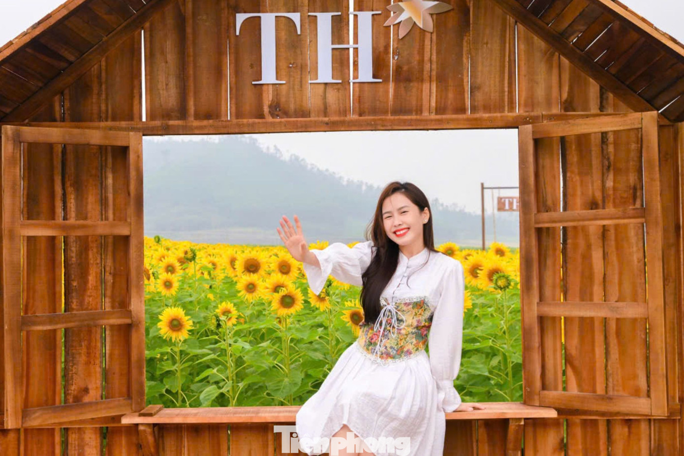 Bạn trẻ check-in &lsquo;biển hoa mặt trời&rsquo; lớn nhất Việt Nam- Ảnh 6.