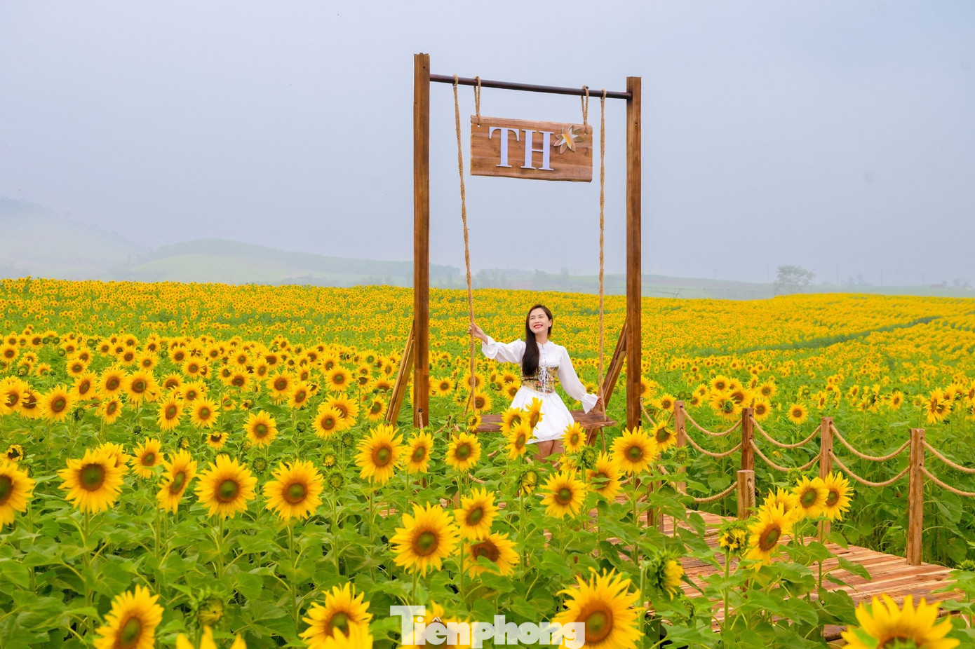 Bạn trẻ check-in &lsquo;biển hoa mặt trời&rsquo; lớn nhất Việt Nam- Ảnh 5.
