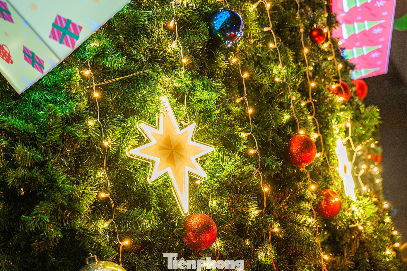 Xếp h&agrave;ng xuy&ecirc;n đ&ecirc;m check-in c&acirc;y th&ocirc;ng Noel cao bằng t&ograve;a nh&agrave; 3 tầng ở H&agrave; Nội- Ảnh 2.