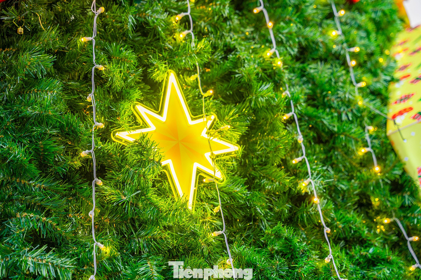 Xếp h&agrave;ng xuy&ecirc;n đ&ecirc;m check-in c&acirc;y th&ocirc;ng Noel cao bằng t&ograve;a nh&agrave; 3 tầng ở H&agrave; Nội- Ảnh 4.