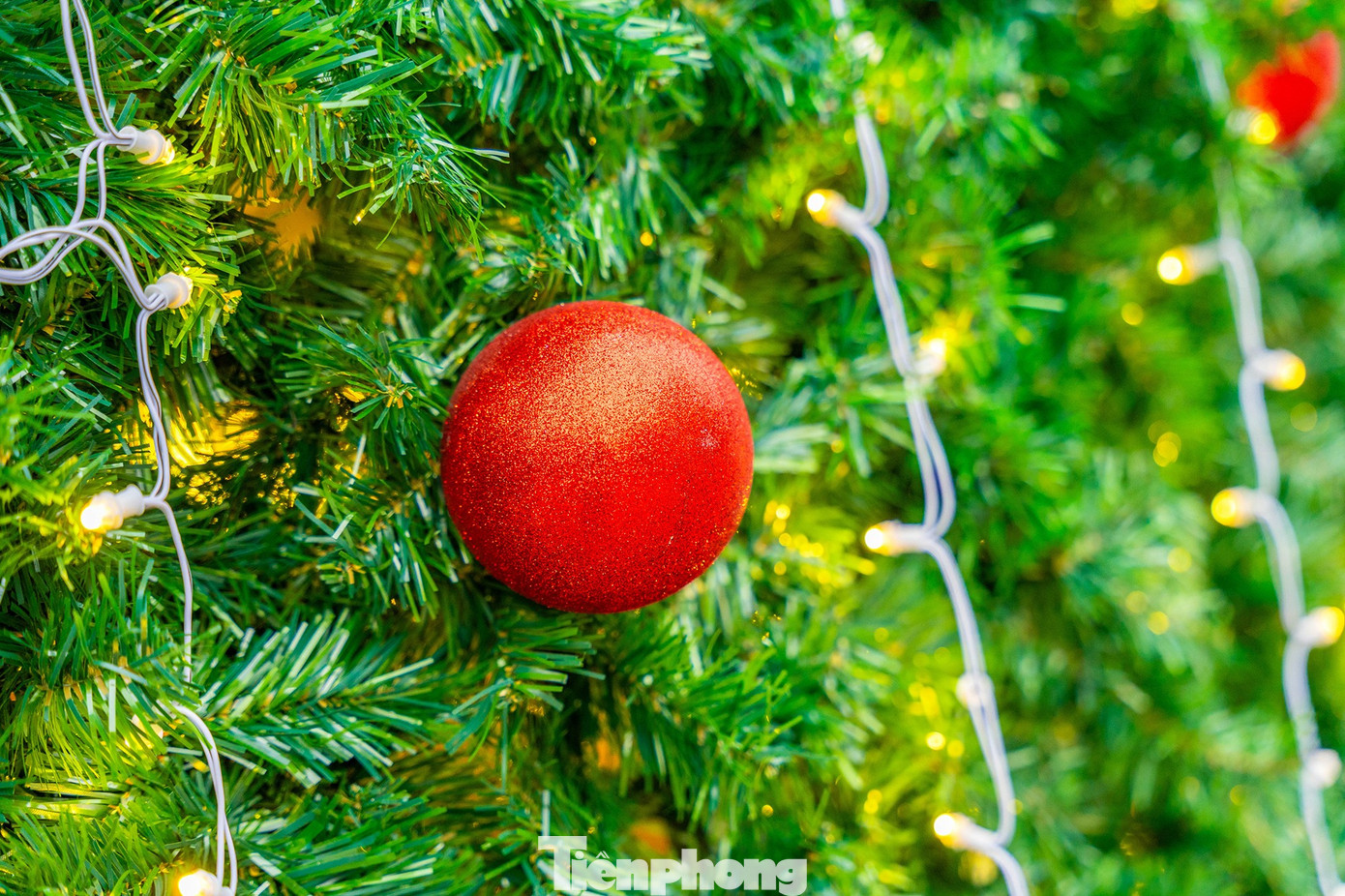 Xếp h&agrave;ng xuy&ecirc;n đ&ecirc;m check-in c&acirc;y th&ocirc;ng Noel cao bằng t&ograve;a nh&agrave; 3 tầng ở H&agrave; Nội- Ảnh 3.