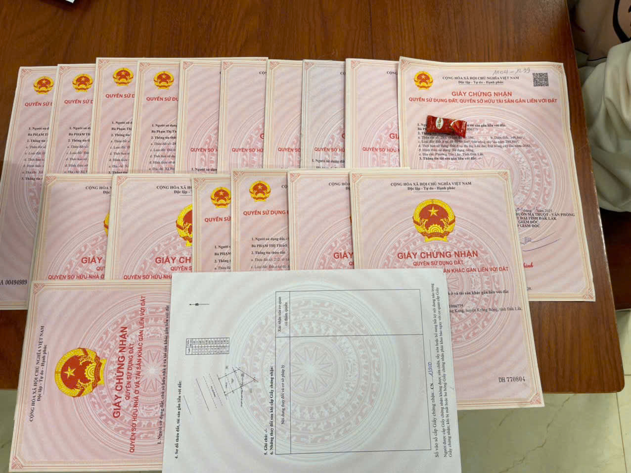 H&agrave;ng ng&agrave;n người sập bẫy, mất 1.275 tỉ đồng v&igrave; đầu tư đồng tiền KAY- Ảnh 2.