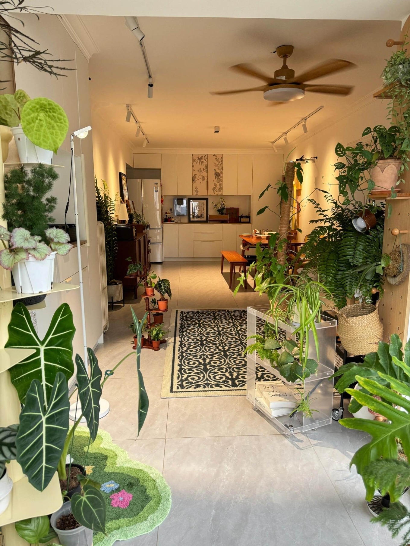 5 dấu hiệu nhận biết ng&ocirc;i nh&agrave; đang l&ecirc;n vận, b&aacute;o hiệu 2026 lộc l&aacute; hanh th&ocirc;ng- Ảnh 3.