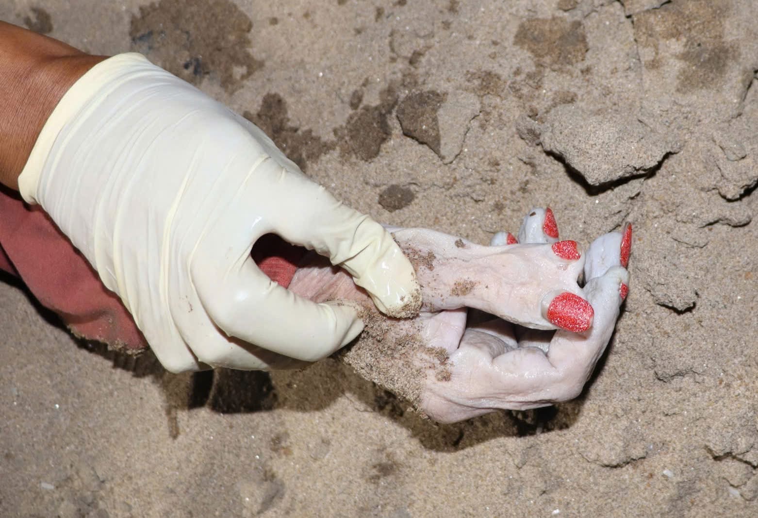 Ai là người thân của thi thể nữ trôi sông Sài Gòn, bàn tay có 6 ngón, sơn màu đỏ liên hệ công an- Ảnh 1.