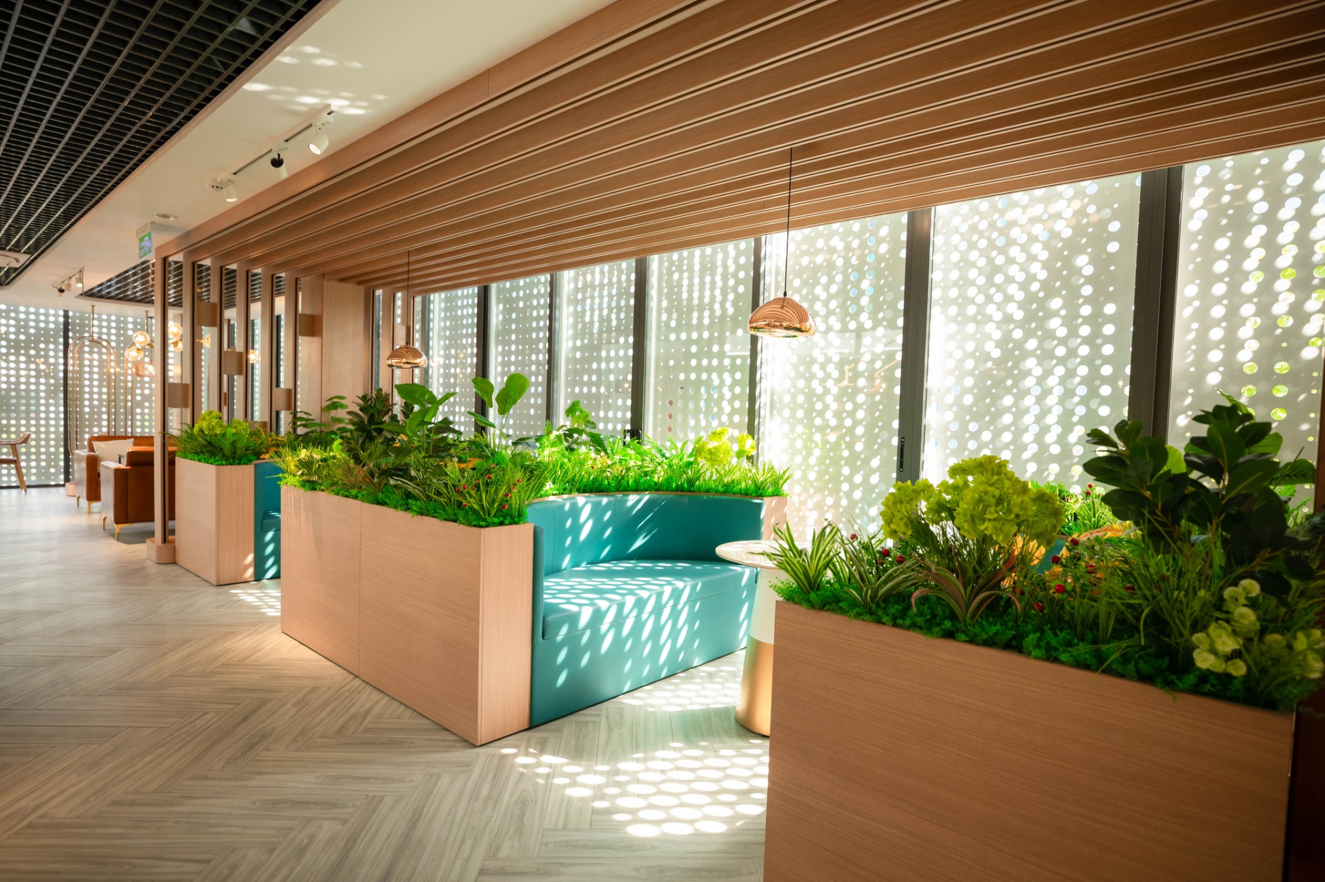 QU&Aacute; XỊN: 1 trường ở TP.HCM mở qu&aacute;n c&agrave; ph&ecirc; như resort trong khu&ocirc;n vi&ecirc;n, sinh vi&ecirc;n đi v&agrave;i bước l&agrave; c&oacute; chỗ ngồi học cực chill- Ảnh 5.