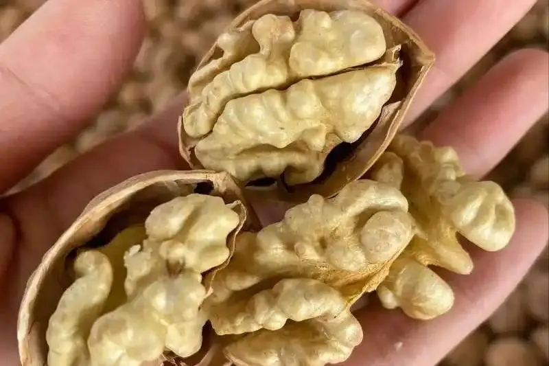 "Nh&agrave; v&ocirc; địch" nu&ocirc;i dưỡng tr&aacute;i tim đ&atilde; lộ diện: Kh&ocirc;ng phải t&aacute;o đỏ m&agrave; l&agrave; loại c&aacute; v&agrave; loại hạt n&agrave;y, người sang tuổi trung ni&ecirc;n h&atilde;y ăn nhiều l&ecirc;n- Ảnh 6.