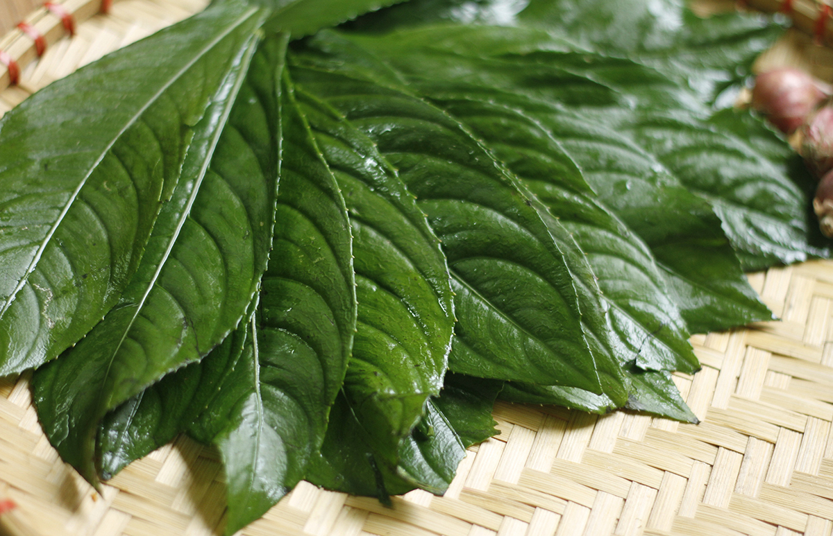 C&ocirc;ng dụng kh&ocirc;ng ngờ từ loại l&aacute; l&agrave; gia vị phổ biến trong bếp người Việt- Ảnh 4.