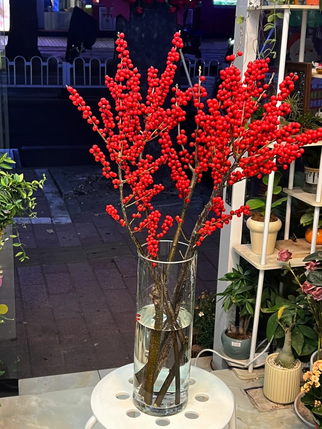 B&iacute; k&iacute;p cắm đ&agrave;o đ&ocirc;ng đỏ chơi bền xuy&ecirc;n Tết 2026: Lo&agrave;i 