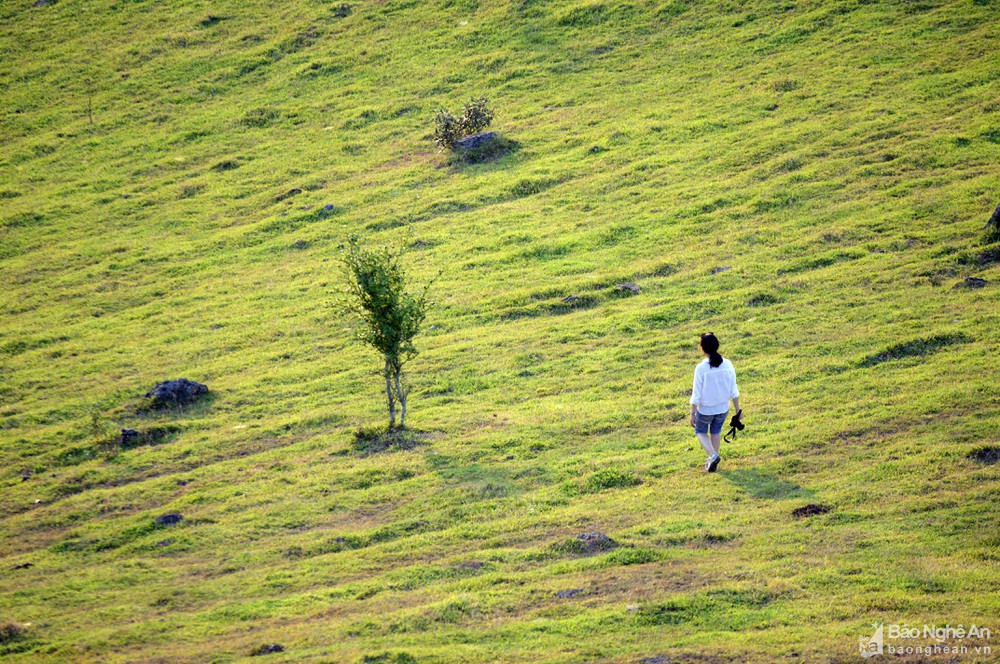 Ngọn n&uacute;i ở Nghệ An cao chỉ hơn 100m, du kh&aacute;ch nhận x&eacute;t cảnh như nước ngo&agrave;i, tr&ecirc;n đỉnh c&oacute; di t&iacute;ch đặc biệt- Ảnh 12.