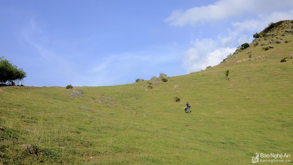 Ngọn n&uacute;i ở Nghệ An cao chỉ hơn 100m, du kh&aacute;ch nhận x&eacute;t cảnh như nước ngo&agrave;i, tr&ecirc;n đỉnh c&oacute; di t&iacute;ch đặc biệt- Ảnh 10.