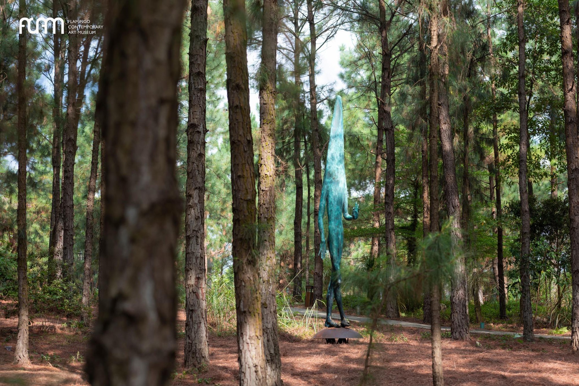 Cuối năm rồi, đi đ&acirc;u để vừa &ldquo;đổi gi&oacute;&rdquo; vừa c&oacute; ảnh xịn mang về?- Ảnh 2.