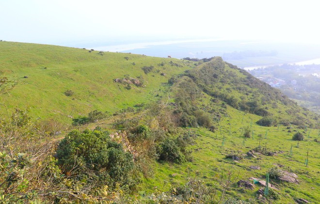 Ngọn n&uacute;i ở Nghệ An cao chỉ hơn 100m, du kh&aacute;ch nhận x&eacute;t cảnh như nước ngo&agrave;i, tr&ecirc;n đỉnh c&oacute; di t&iacute;ch đặc biệt- Ảnh 6.