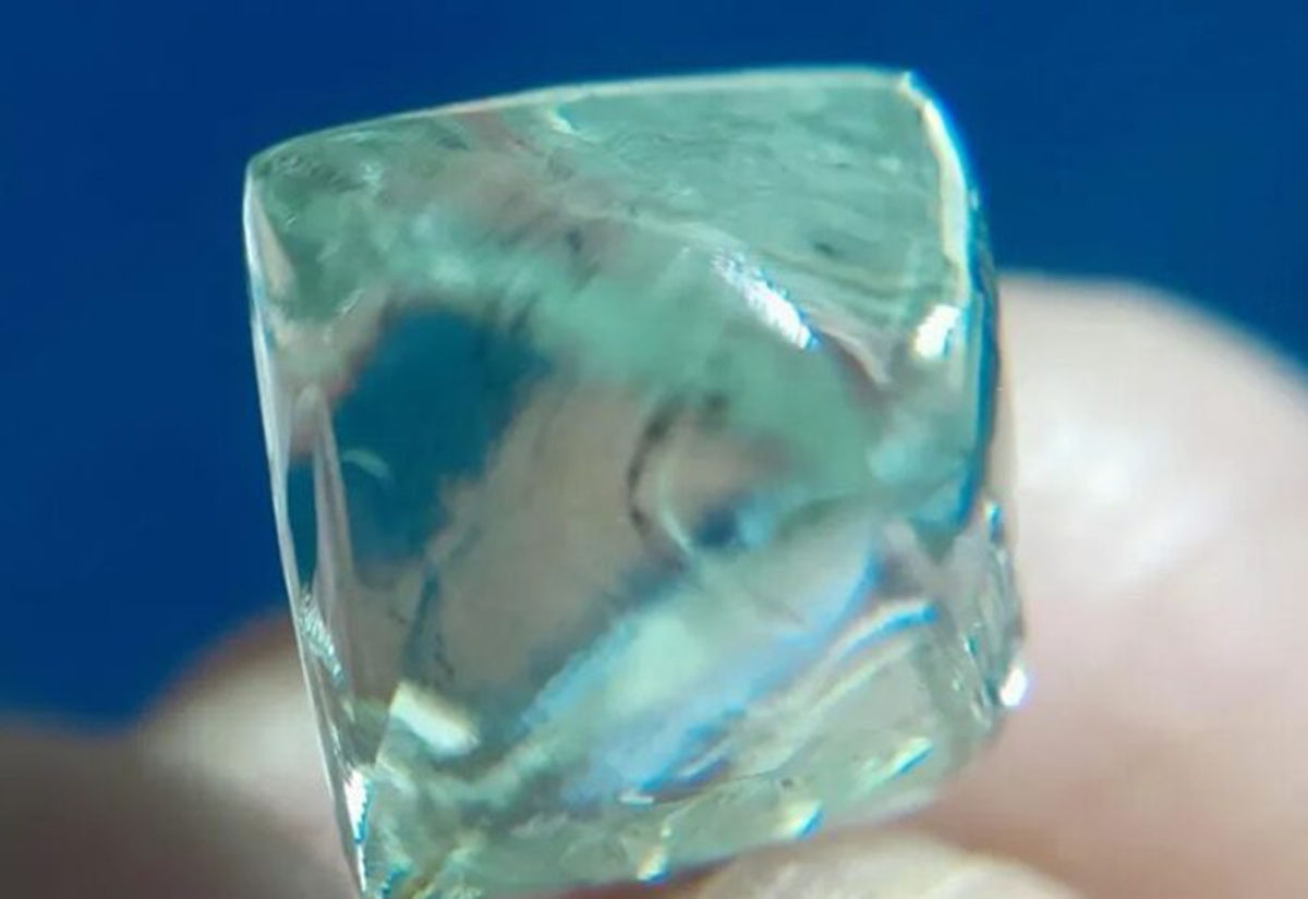 Rủ nhau đi đ&agrave;o đất, 2 người đ&agrave;n &ocirc;ng &ldquo;đổi đời&rdquo; khi nhặt được b&aacute;u vật trị gi&aacute; 52 tỷ đồng- Ảnh 2.