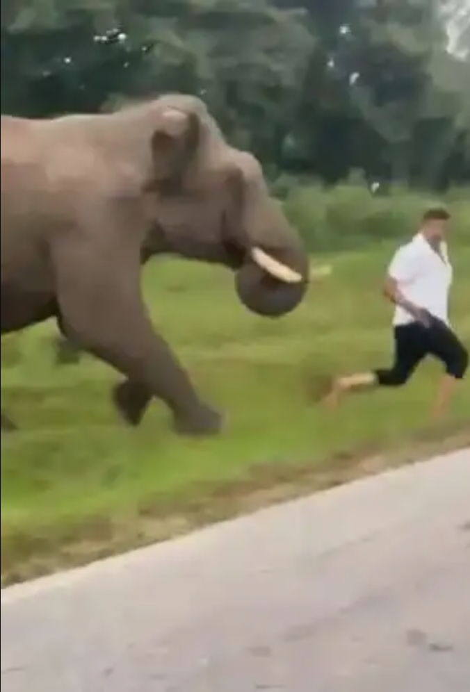 Cảnh b&aacute;o gấp cho ai hay chụp ảnh tự sướng- Ảnh 5.