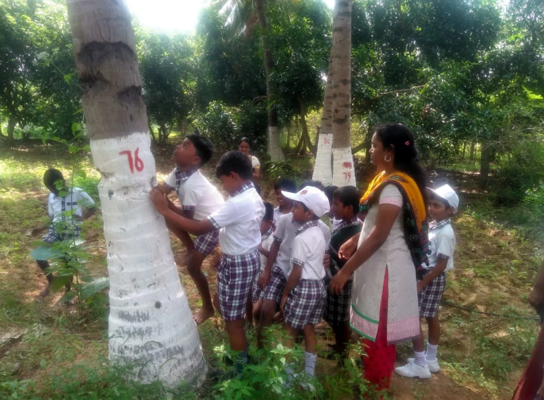 Cựu nh&acirc;n vi&ecirc;n ng&acirc;n h&agrave;ng b&aacute;n nh&agrave; lấy 1,1 tỷ đồng mua mảnh đất hơn 12.000m2 l&agrave;m trang trại để nghỉ hưu: &ldquo;Chỉ kiếm được hơn 176 triệu/năm nhưng t&ocirc;i rất vui&rdquo;- Ảnh 2.