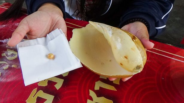 Mua con ốc 50 ng&agrave;n đồng về ăn, c&ocirc; g&aacute;i ngh&egrave;o đổi đời th&agrave;nh tỷ ph&uacute; nhờ b&aacute;u vật giấu k&iacute;n- Ảnh 2.