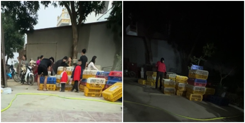 Người đ&agrave;n &ocirc;ng H&agrave; Nội đi mua 600 con vịt về ph&aacute;t cho người lạ mừng "Việt Nam v&ocirc; địch": Phản ứng của vợ thế n&agrave;o?- Ảnh 3.