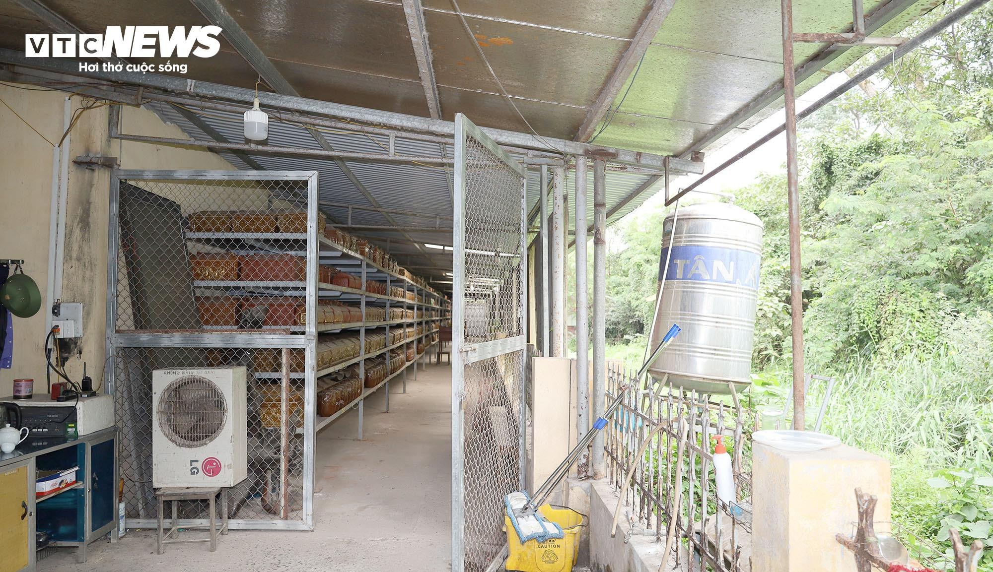 Hơn 1.800 bộ tro cốt v&ocirc; danh được đặt tạm bợ tại nghĩa trang lớn nhất Hải Ph&ograve;ng- Ảnh 2.