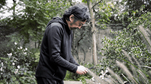 Nam nghệ sĩ x&acirc;y biệt thự ở ẩn, U80 sống &ldquo;lẻ b&oacute;ng&rdquo;: Kh&ocirc;ng nghỉ hưu, thức đến 4h s&aacute;ng l&agrave;m việc vẫn h&agrave;i l&ograve;ng- Ảnh 12.