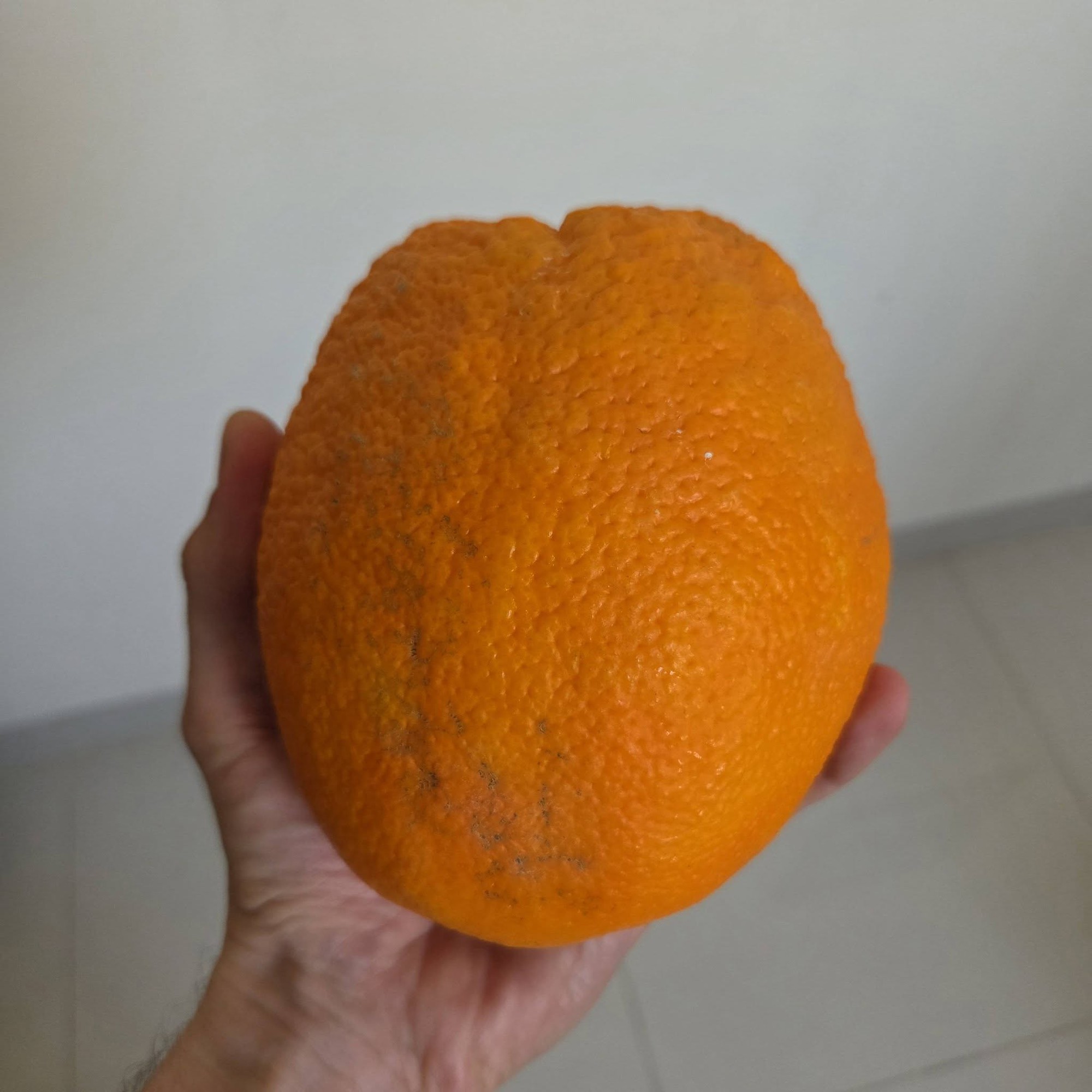 Kh&aacute;ch T&acirc;y nằng nặc mua hết xe chở cam c&oacute; biển số 37, đ&ograve;i b&aacute;n lại gi&aacute; gấp đ&ocirc;i v&igrave; l&yacute; do kh&ocirc;ng ai ngờ tới- Ảnh 3.